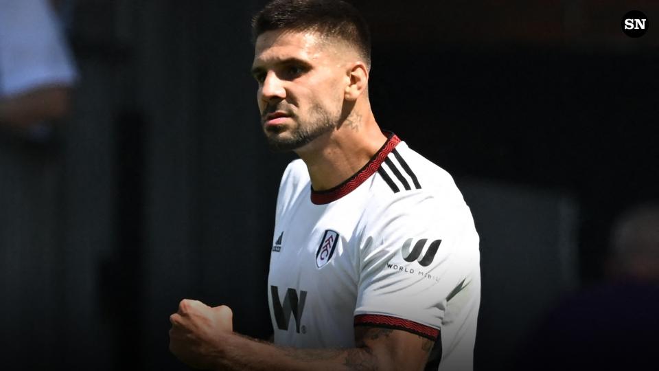 Fulham's Aleksandar Mitrovic